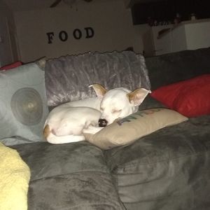 Meet your Posher, Dewayne